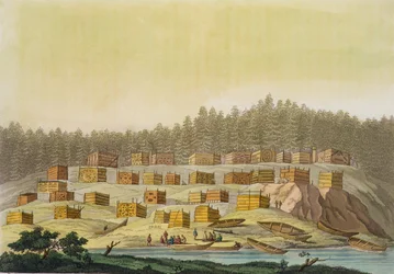 Aldea india, Nueva Georgia, Alaska